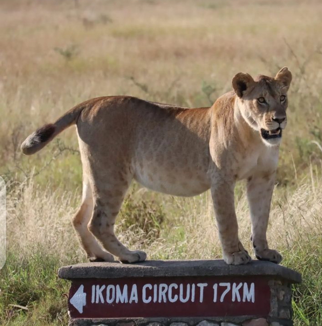 Forest track in Arusha National Park